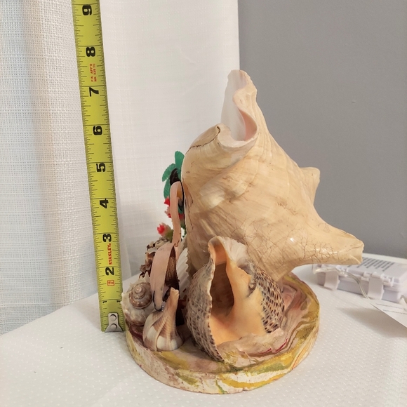 Conch TV  Accent Light Sea Shells Coral Palm Flamingo Rewired Battery 1960 - Picture 5 of 13